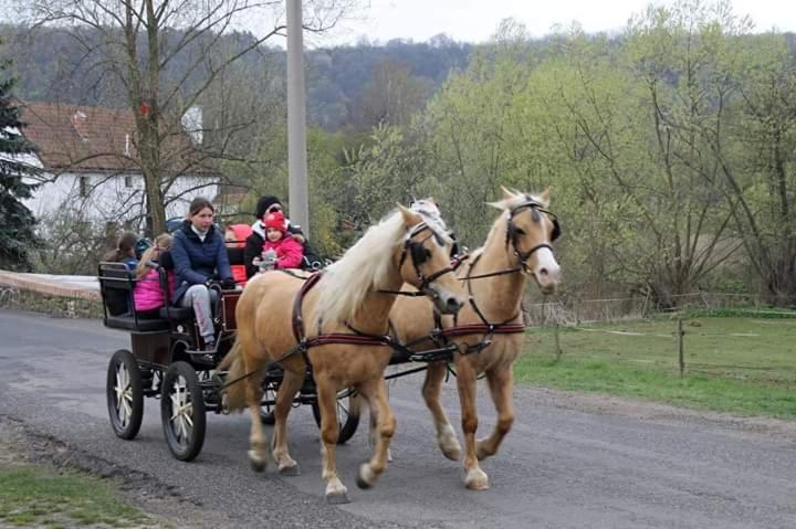 Ubytovani V Karavanu Bzany Buitenkant foto
